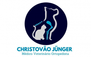 christovao-junger-medico-veterinario-ortopedista-300x188