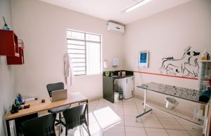 consulta1-1-300x194 20.13.04