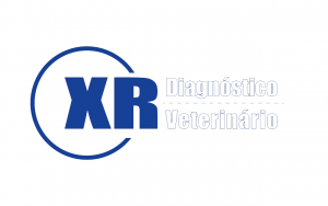 xr-diagnostico-veterinario-300x188